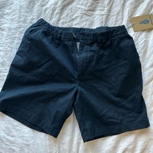 NWT chubbies blue shorts medium